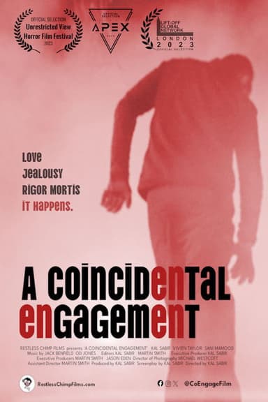 A Coincidental Engagement poster