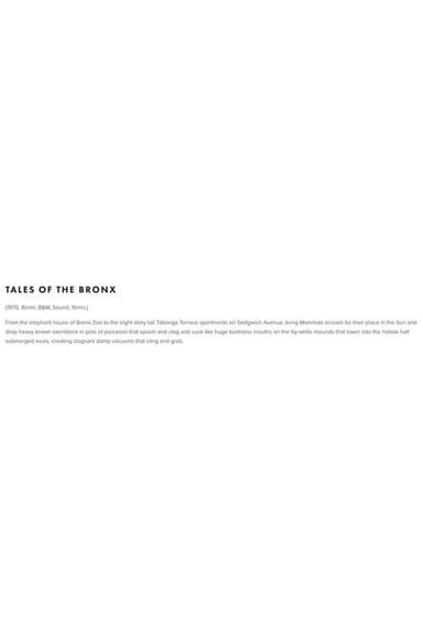 Tales of the Bronx poster