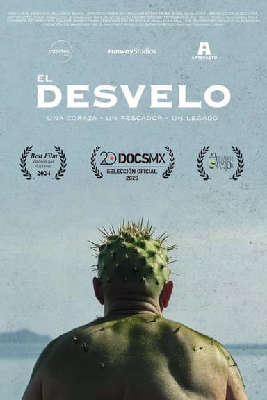 El desvelo poster
