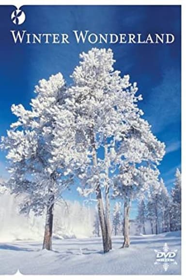 Winter Wonderland poster