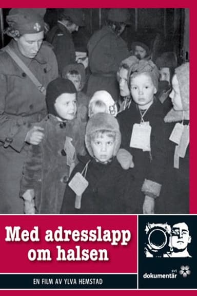 Med adresslapp om halsen poster
