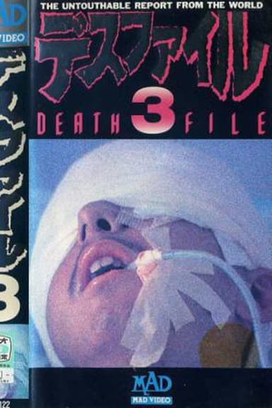 Death File 3 poster