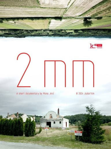 2mm poster