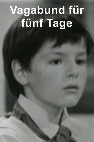 Vagabund für fünf Tage poster