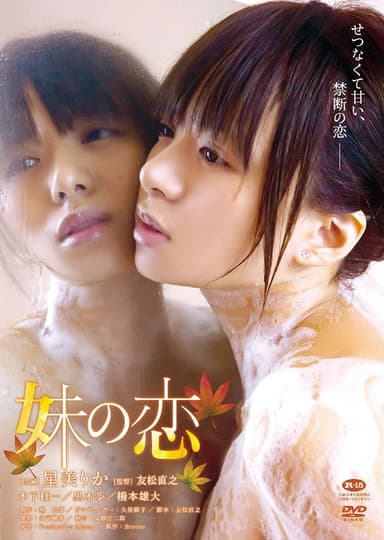 My Sister's Love poster