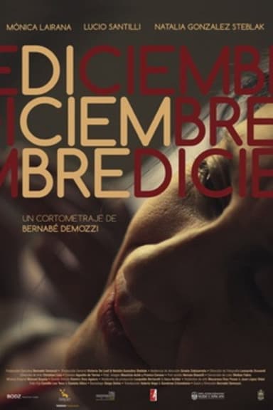 Diciembre poster