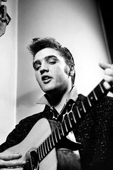 Elvis Rise And Fall Of The King poster