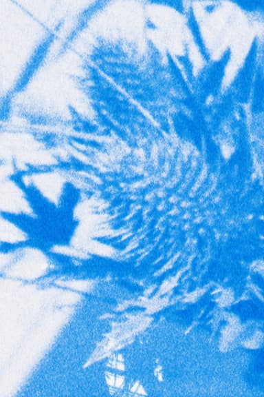 Pale, Blue poster