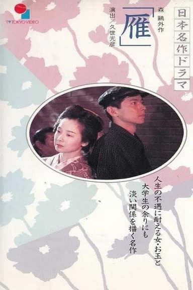 Wild Geese poster
