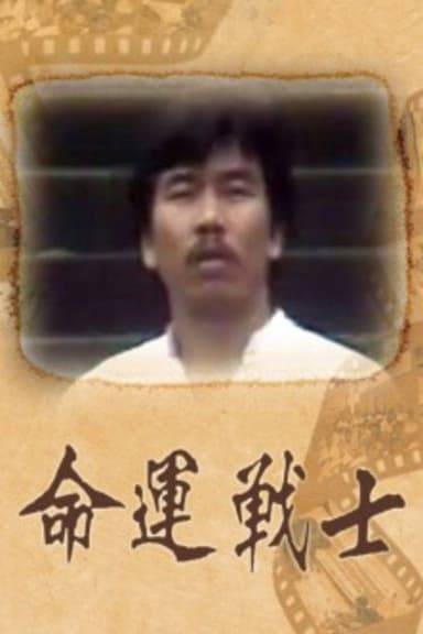 The Stuntman poster