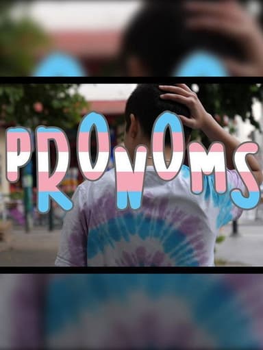 Pronouns poster