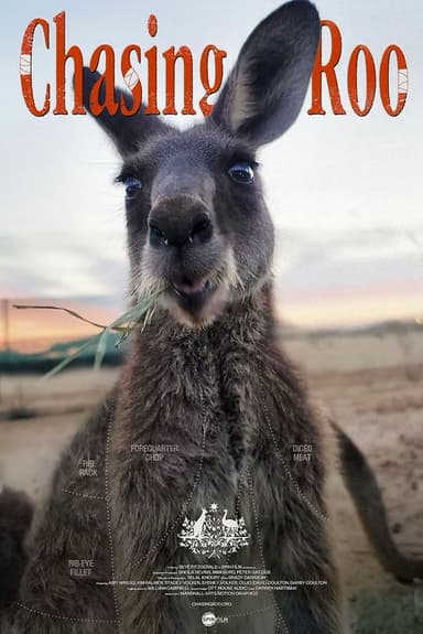 Chasing Roo poster