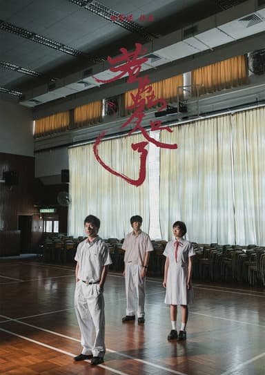17 years poster