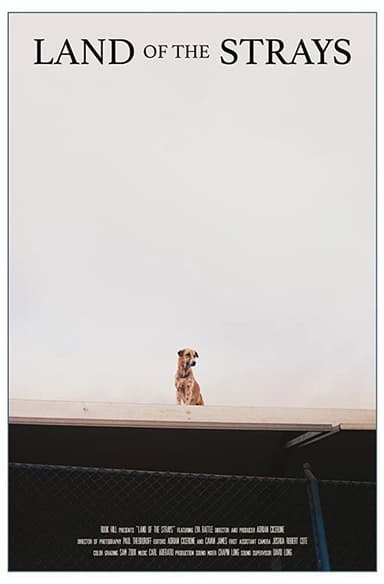 Land of the Strays poster