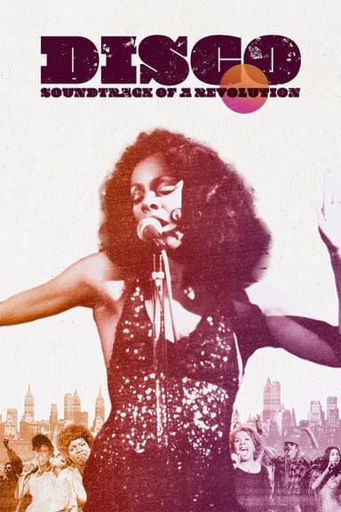 Disco: Soundtrack of a Revolution poster