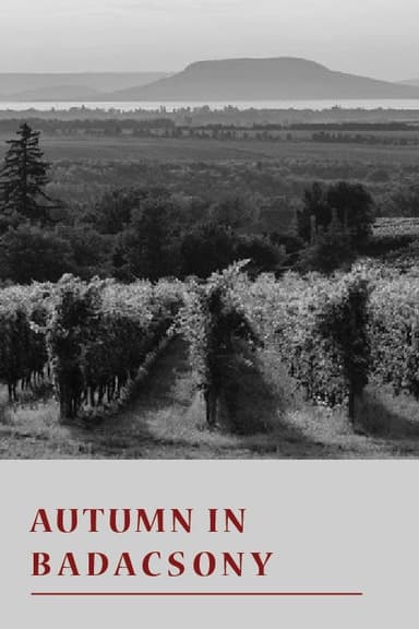 Autumn in Badacsony poster