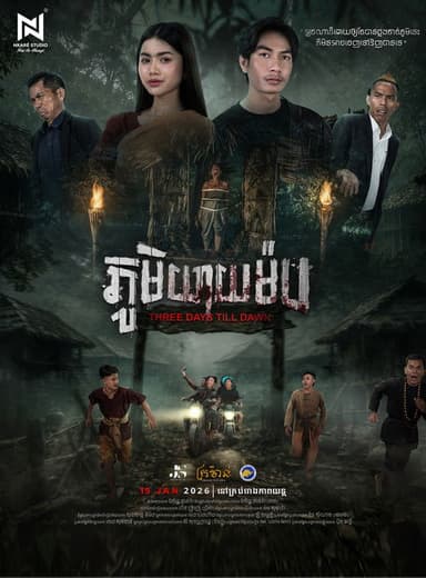 The Midwife poster