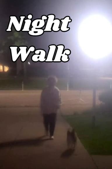 Night Walk poster