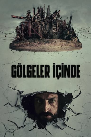 In the Shadows poster