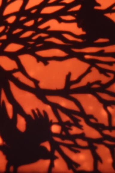 Fire Fly EYE poster