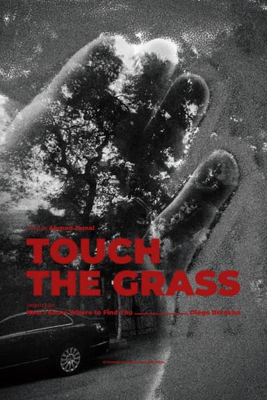 Touch the grass poster