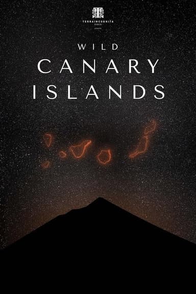 Wild Canary Islands poster