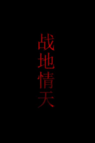 战地情天 poster