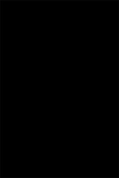 Paris at Night poster