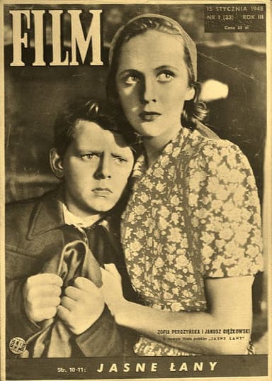 Jasne łany poster