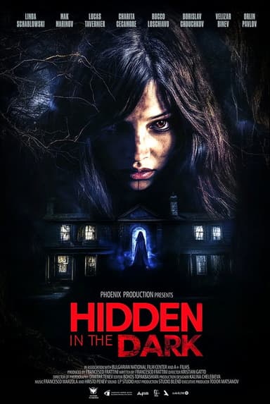 Hidden in the Dark poster