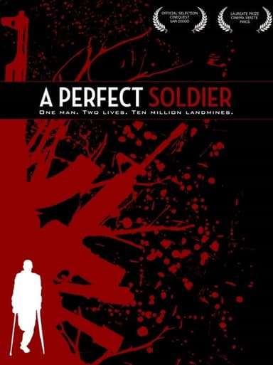 A Perfect Soldier poster