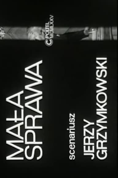 Mała sprawa poster