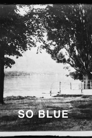 The Danube so Blue poster