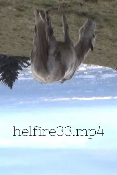 hellfire33.mp4 poster