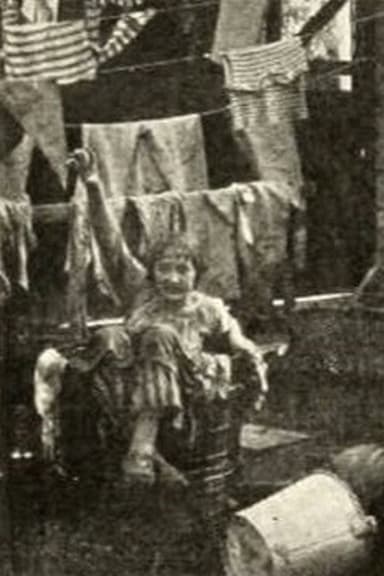 Willie, King of Janitors poster