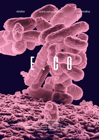 e. co poster