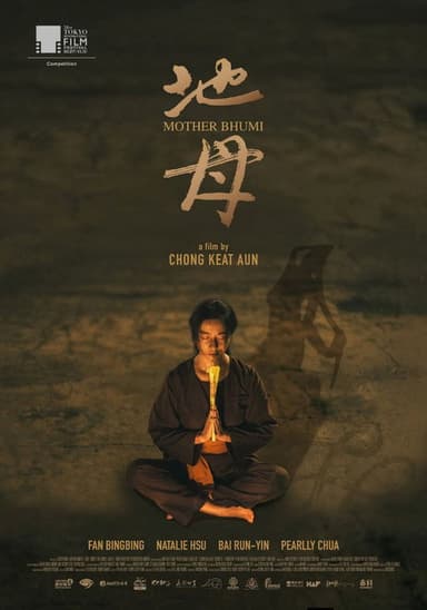 Mother Bhumi poster