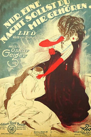 Nur eine Nacht poster