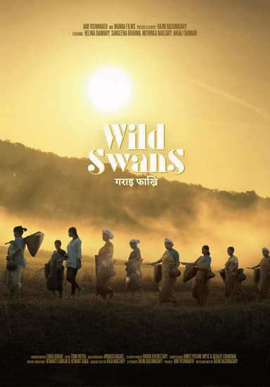 Wild Swans poster