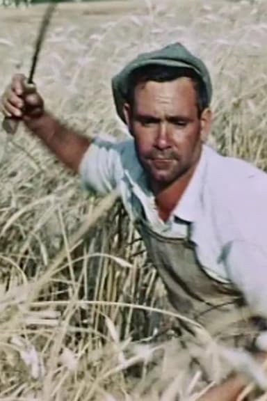 The Wheat Passion poster
