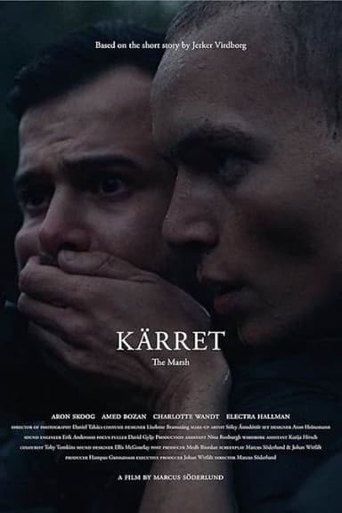 The Marsh poster