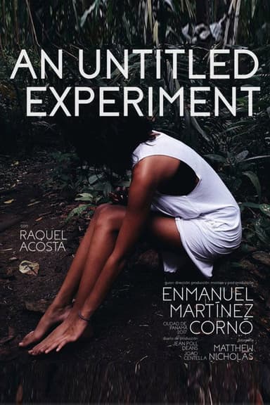 An Untitled Experiment poster