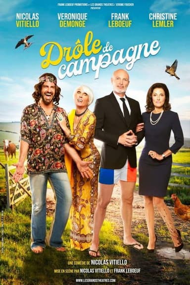 Drôle de campagne poster