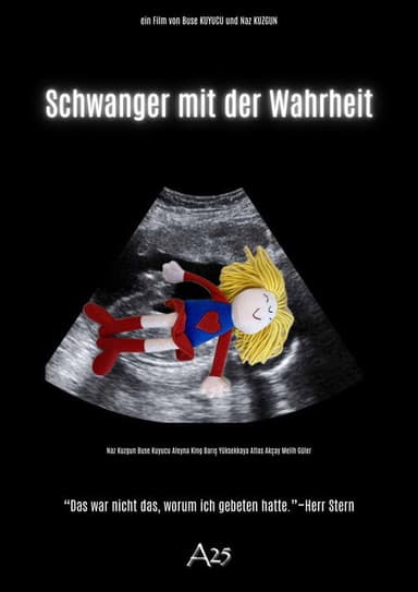 Pregnant with the Truth poster