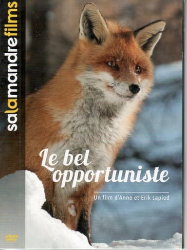 The Beautiful Opportunist poster