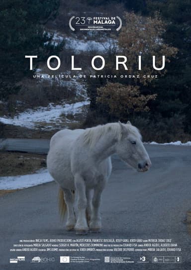 Toloriu poster