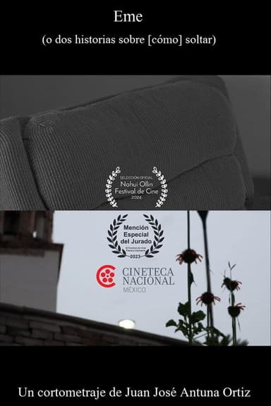 Eme (o dos historias sobre [cómo] soltar) poster