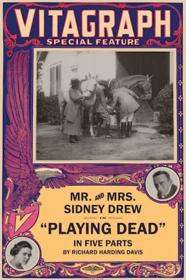Playing Dead poster