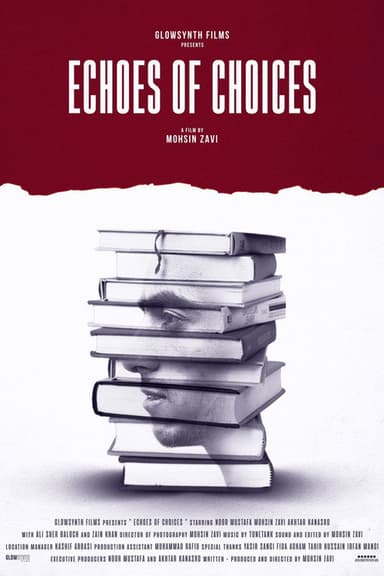 Echoes of Choices poster