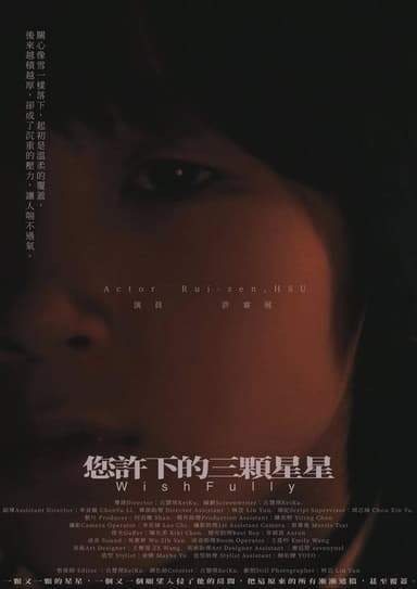 WishFully poster